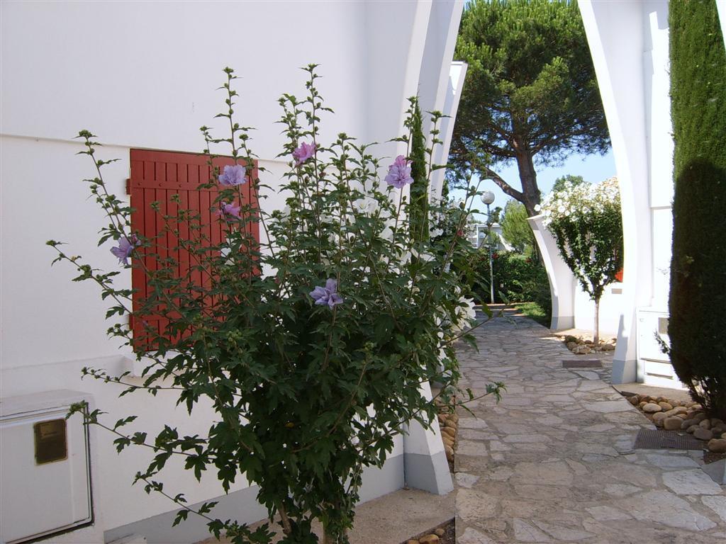 Residence Green Village La Grande Motte Oda fotoğraf
